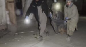 Nearly 400 hospital patients have lost their lives